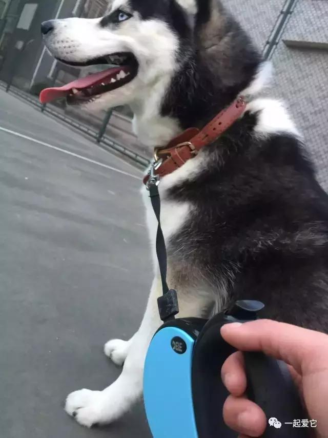 宠爱每一个故事,宠爱故事梗概