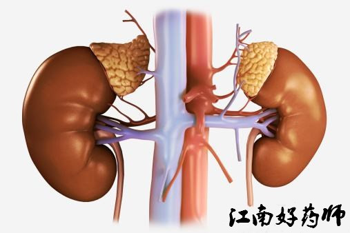 医院化验单参考值怎么看,医院化验单视频教程