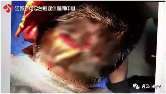 我们走——我们去看皮皮狗~