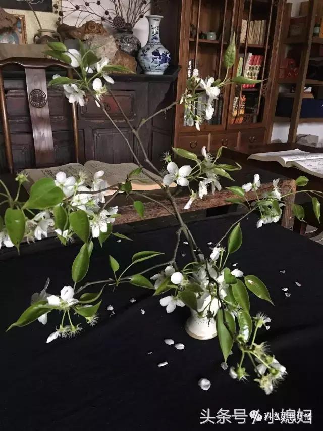 与中央电视台就《深耕云南》筹拍洽谈工作第一次正式会面