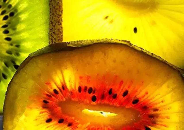 奇异果新西兰,奇异果新西兰进口