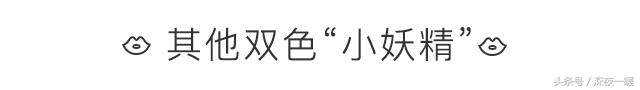 口红你这粘人的小妖精，深感大家对口红真是爱的深沉啊