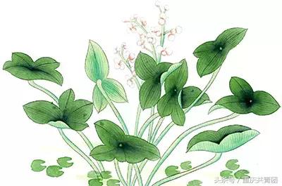 人间最美是初春,人间最美的不过是春天