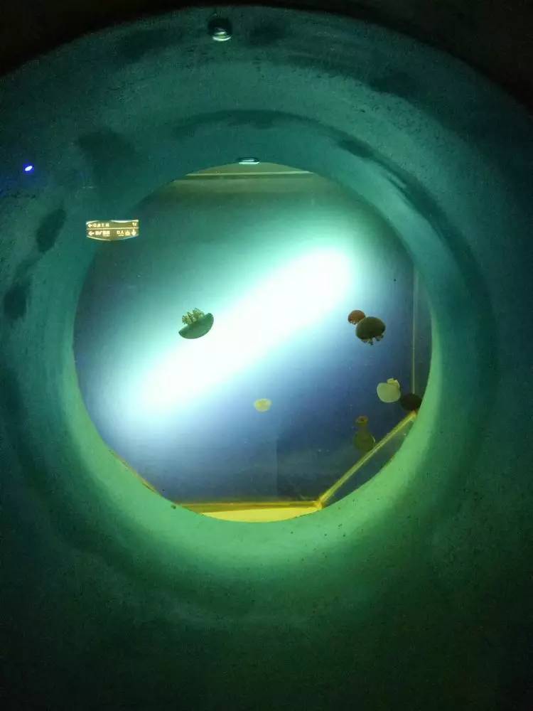 冬天大连看海旅游攻略,冬季到大连去看海