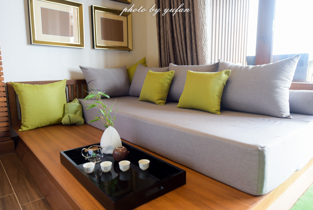 云端上的世外桃源，看看浇灌牛奶和土鸡蛋的有机乌龙茶长成啥样