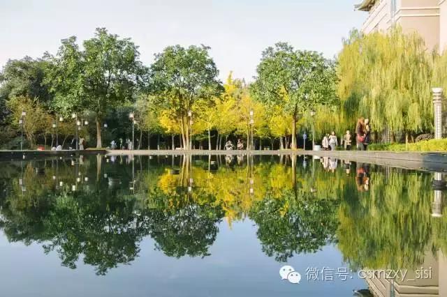 长沙民政职业学院哪个专业最好,长沙民政学院2022录取名单