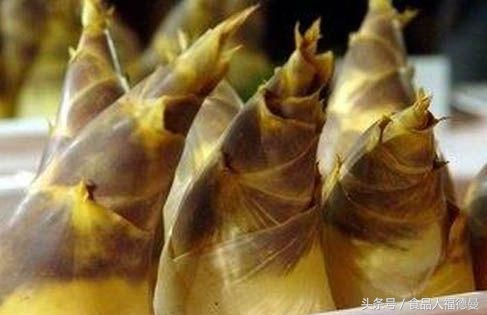 春笋吃太多死亡,吃春笋吐血险丧命