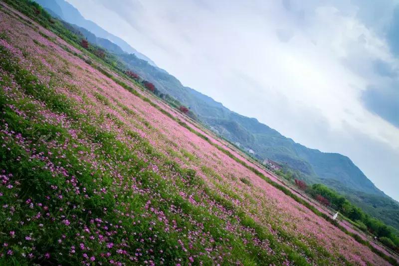 绍兴上虞为什么有海,上虞哪个地方有海