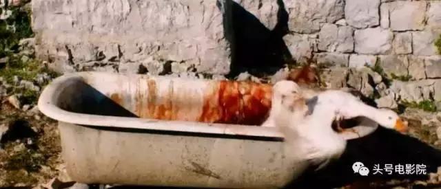 敢让这位国宝级女神上山下水也只有这位张艺谋的老朋友了