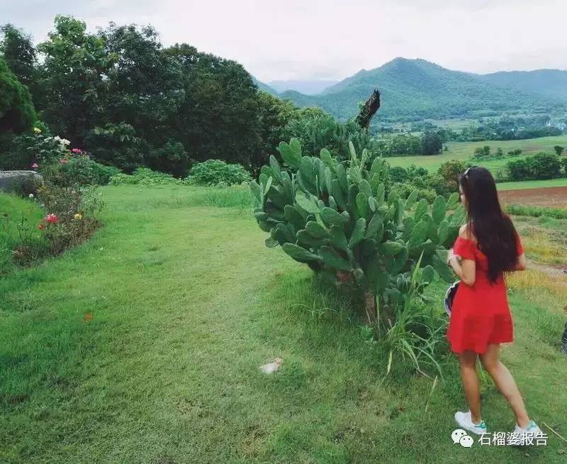 读者来稿简短版,读者来稿图片大全