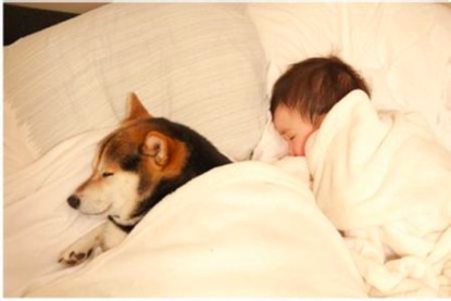 好喝不贵老品牌奶粉,奶粉爆款排行榜