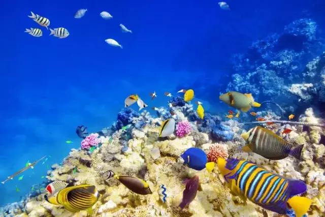 武汉五一去哪儿玩人少,五一去哪里玩武汉人少