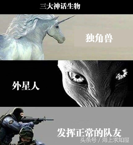 十条笑话15个字,十条笑话完整版