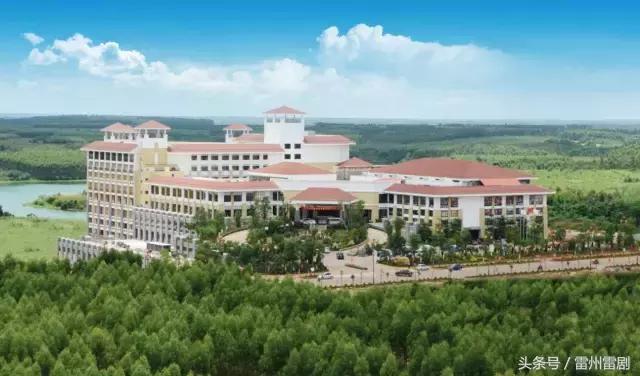 雷州富豪陈宇,陈宇从广州徒步回雷州多久