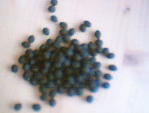 制作古代水粉,如何自己做古代水粉