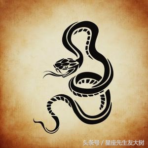 属龙的适合和什么生肖合伙做生意,适合出门做生意的生肖