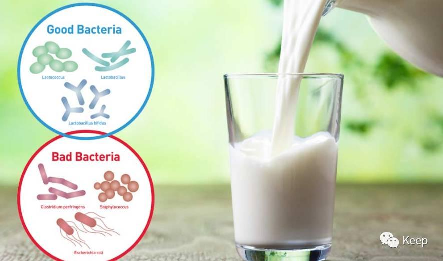 椰子水和椰汁的功效与作用,椰子水和椰汁的区别是