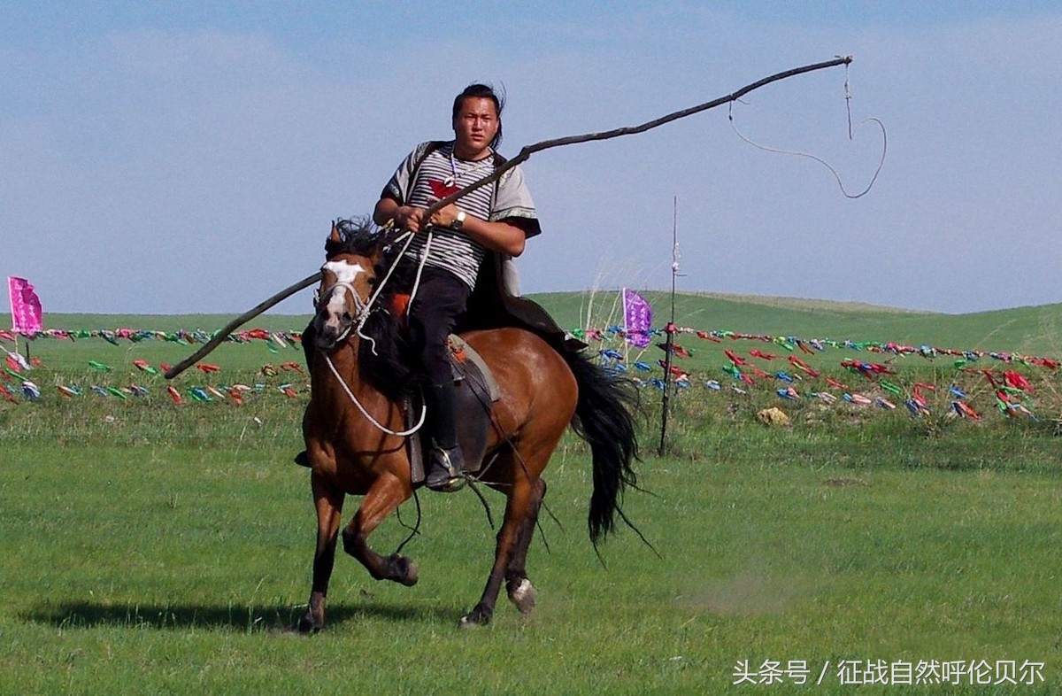 骑上草原的骏马跑一圈,骑上马马一直跟着马群怎么办