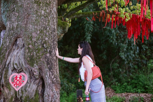 婕闀垮畨浣滃搧,婕鍞愭湞