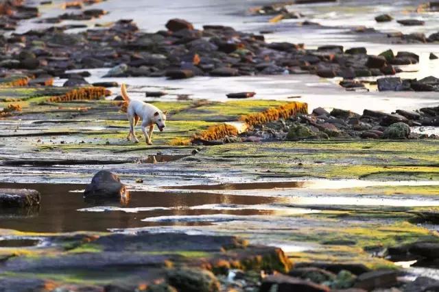 海上香格里拉旅游,汕尾金町湾海上香格里拉