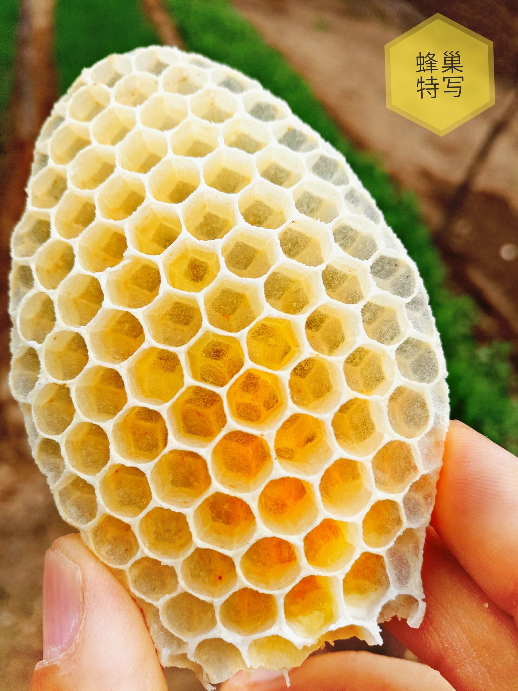 自制蜂蜡唇膏夏天要放冰箱吗,自制蜂蜡唇膏教程