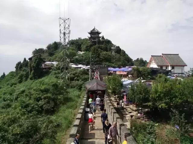 成都周边哪里樱桃最好吃,成都樱桃采摘园附近最近地方