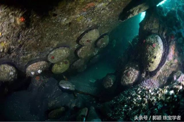 鲍鱼除了吃还代表什么,鲍鱼除了是食物还是什么东西