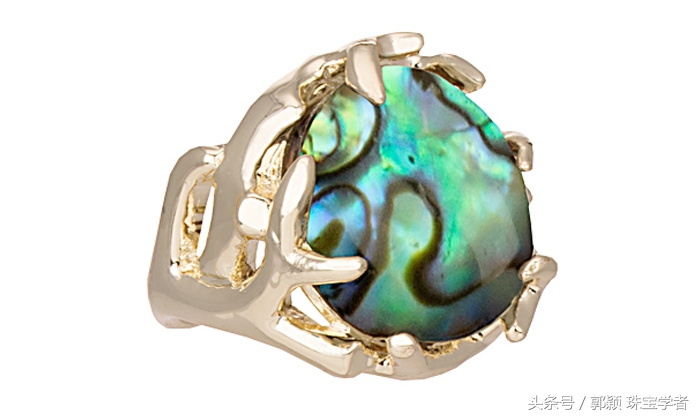 鲍鱼除了吃还代表什么,鲍鱼除了是食物还是什么东西