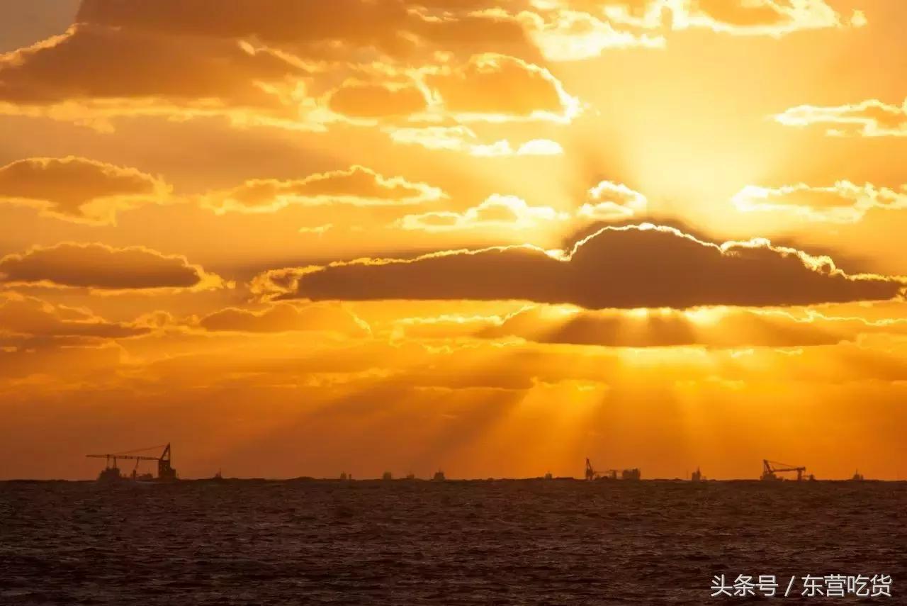 东营五一假期好去处,五一东营去哪里玩比较好