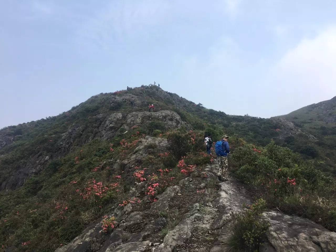 大罗山龙脊离百家尖有多远,大罗山瓯海一日游最佳路线图