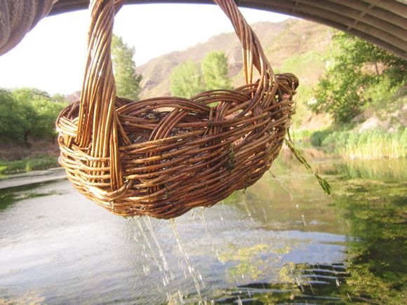 网上免费养鹅回收是真的吗,养鹅回收怎样找销路