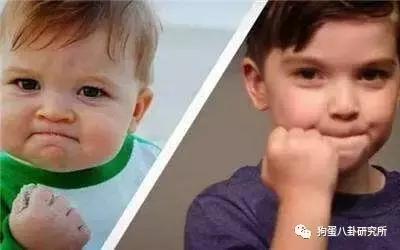 井柏然粉丝抱团脱饭，女友粉到底是一种怎样的存在？