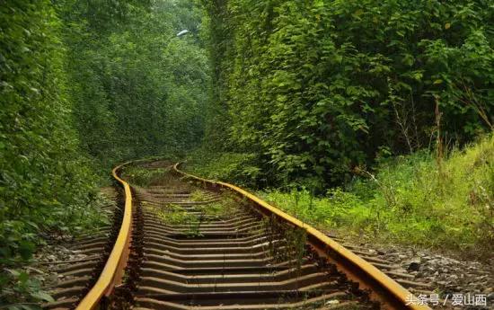 晋景：对不起，我要去榆次了，别再找我了！