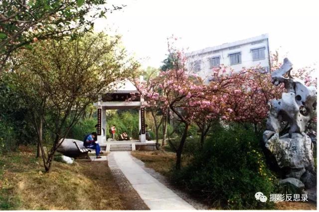 浙大玉泉照片,跨越百年的珍贵影像