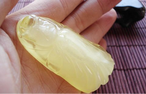 世界上最珍贵的琥珀是哪种琥珀,世界上最早发现琥珀的国家