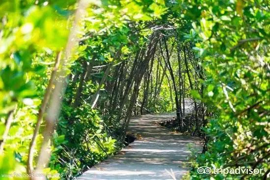 小长假最后一天去哪玩,小长假推荐人少的地方旅游