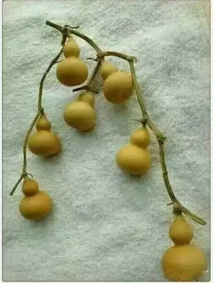 都说IT销售NB，看完我真信了~