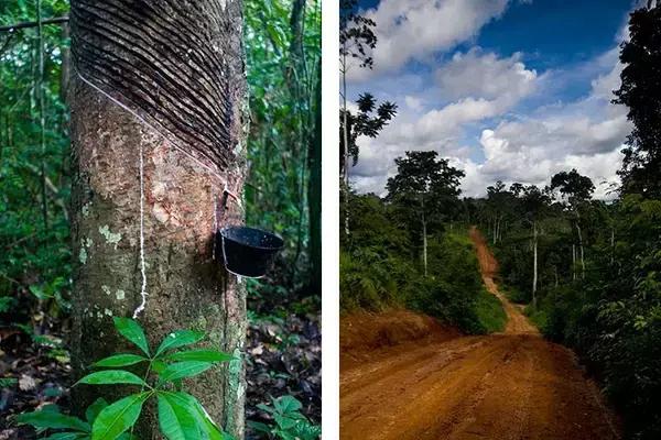 有没有跟vans差不多的,收集各种名牌鞋vansconverse