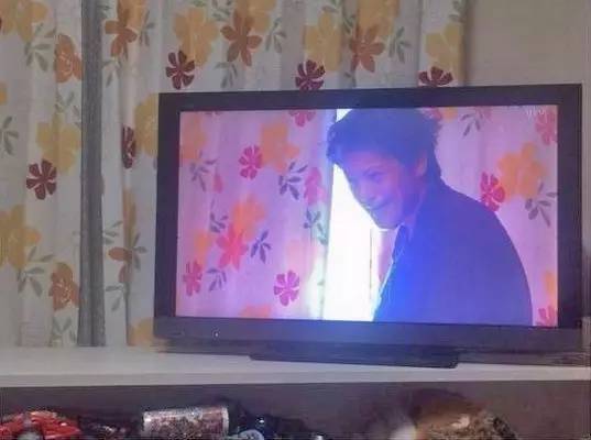 日本主妇逛街购物,日本主妇买菜去哪买