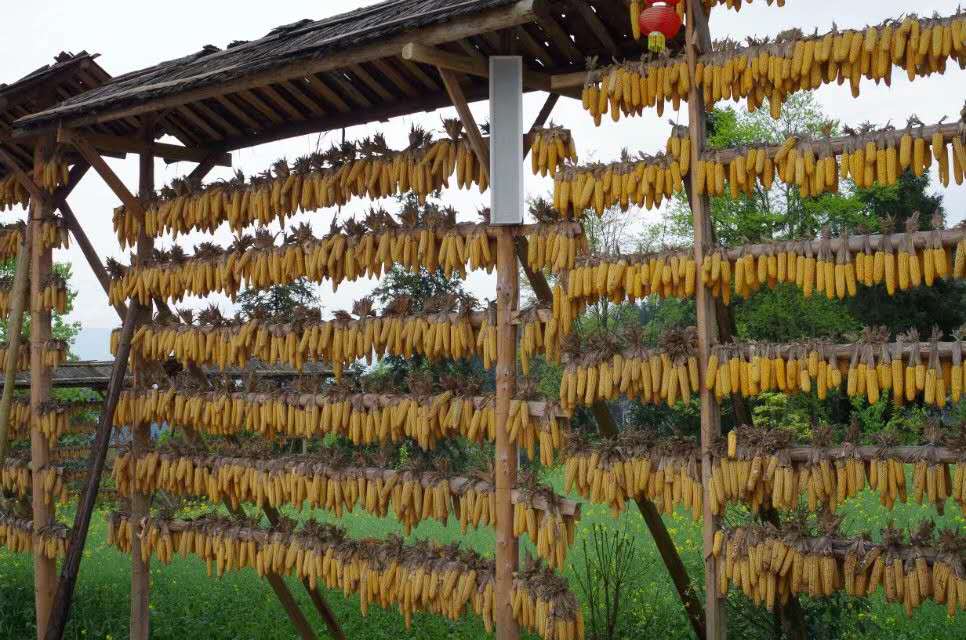 跟着爸爸去露营古镇,跟着爸爸去体验生活