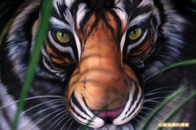 艺术家用自然物制作的作品图片,艺术家用自然的图案变成图谱