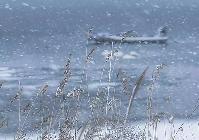 此生余年，和你一起看漫天雪舞