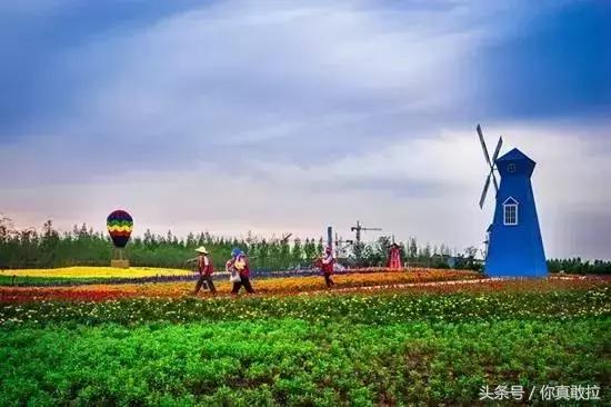 临沂三区九县改成什么了,临沂市三区九县名称