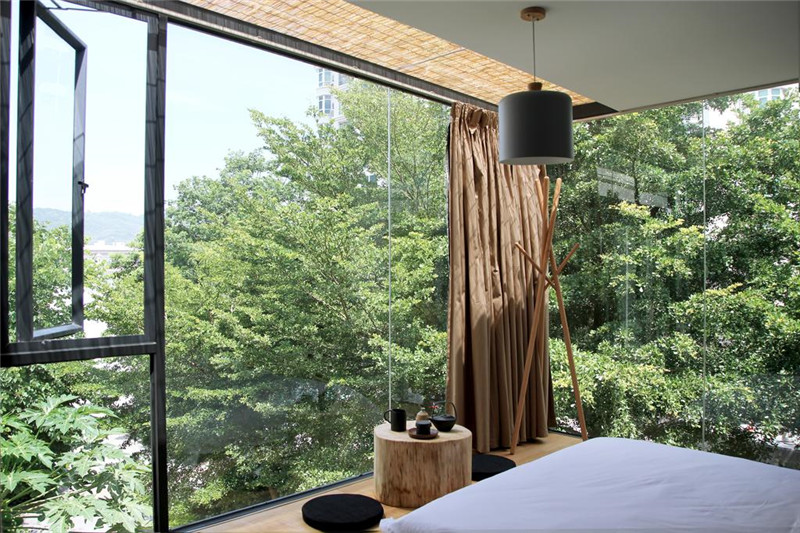 鲁豫和杨丽萍照片,美哭了新疆舞蹈