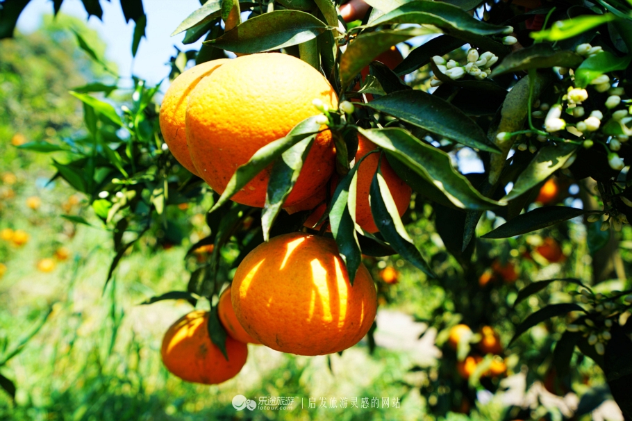 推开石门登一山拜一佛,你就修得了正果