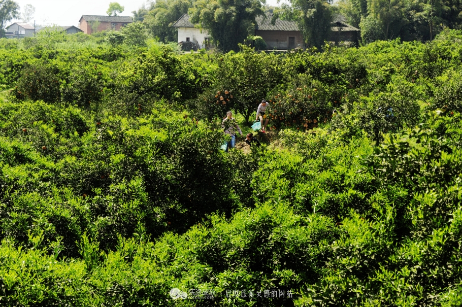 推开石门登一山拜一佛,你就修得了正果