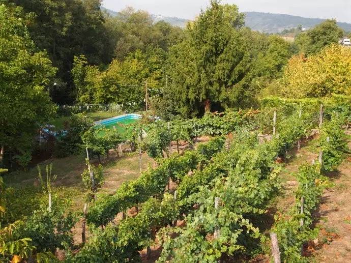 鍔犲埄瑗夸簹缇庨鎺ㄨ崘,鍔犲埄瑗夸簹缇庨鏀荤暐