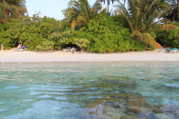 成都到马尔代夫旅游团七日游价格,马尔代夫成都出发旅游