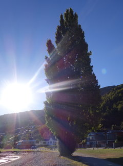 致敬·新西兰OnceisforAll