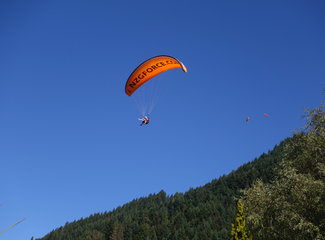 致敬·新西兰OnceisforAll